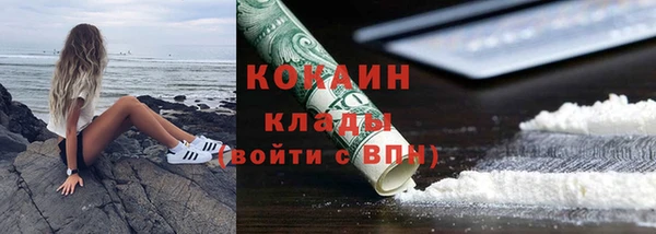 мдпв Верхний Тагил