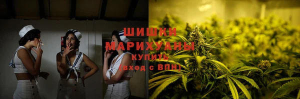 твердый Бородино