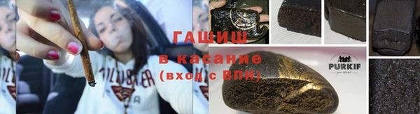 твердый Бородино