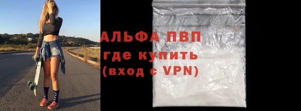 твердый Бородино