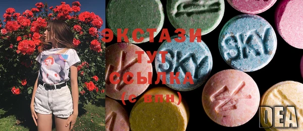 твердый Бородино