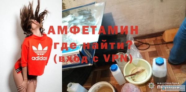 твердый Бородино